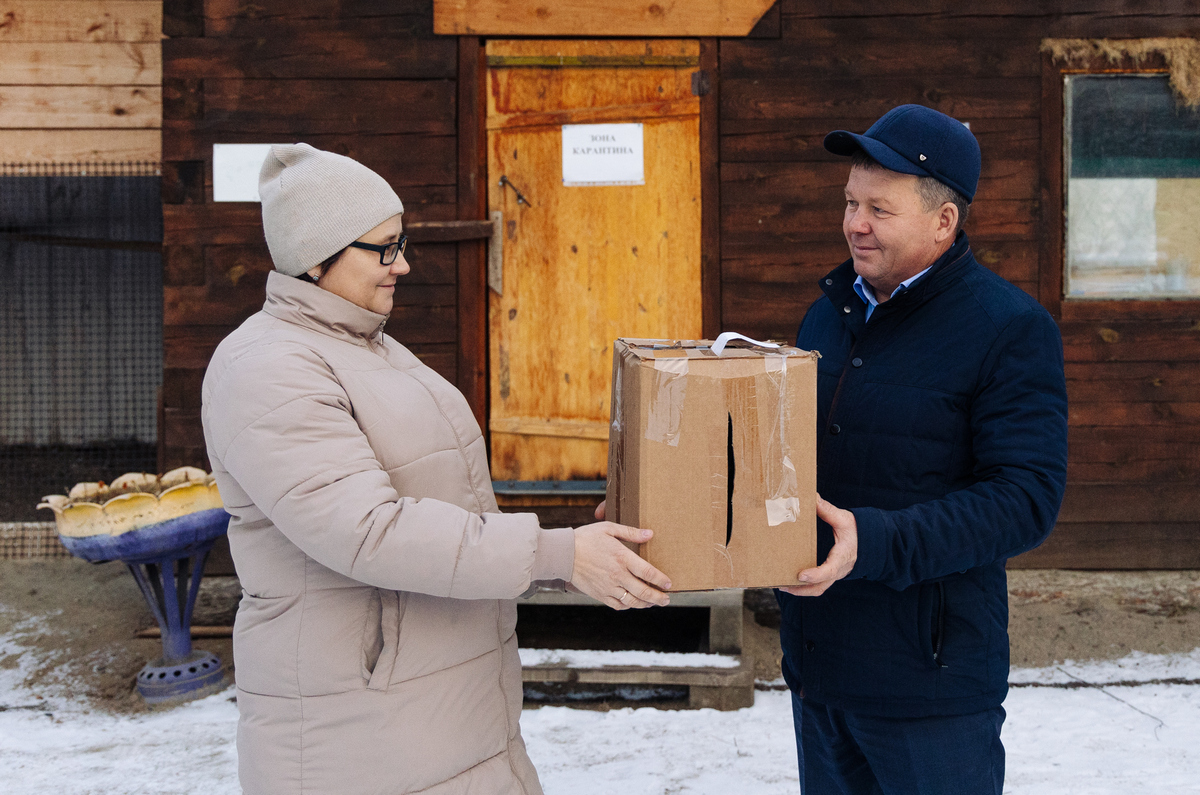 Сайт бурприроднадзора бурприроднадзор республики