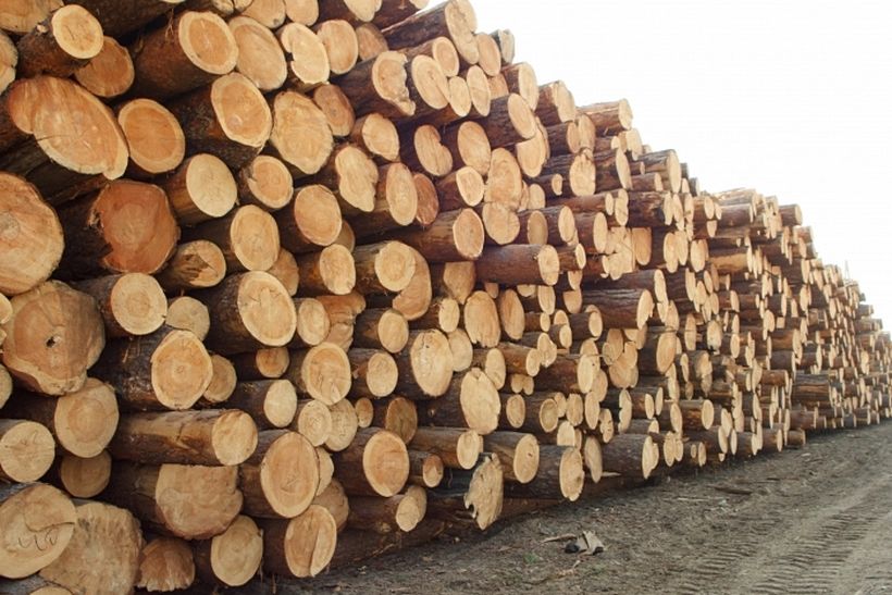 Лесоматериалы. Контрабанда древесины. Лесная промышленность в Бурятии. Лес торговля. Группы лесоматериалов.
