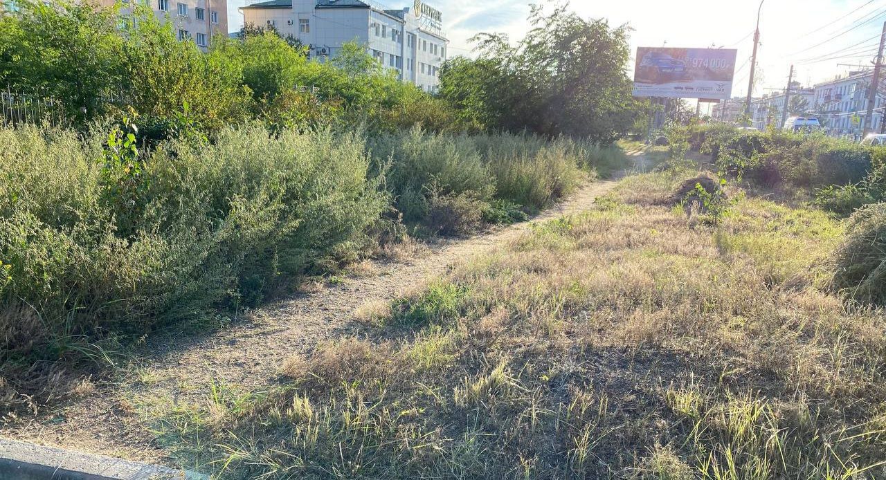 Аллергия и аварийные ситуации: заросли травы заполнили улицы Улан-Удэ