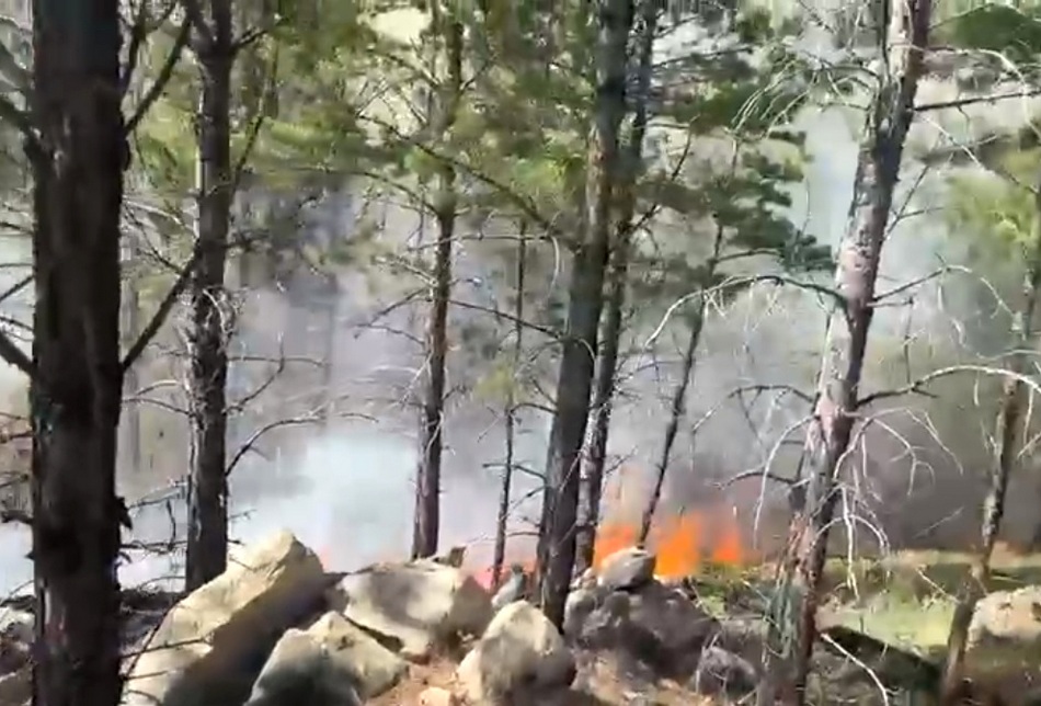 Лесные пожары в бурятии презентация