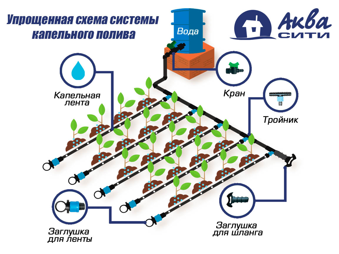 Что значит капельная система. Схема подключения системы капельного полива. Схема подключения капельного полива Жук. Схема системы капельного полива с контроллером. Схема подключения бочки для капельного полива.