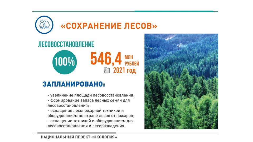 Паспорт федерального проекта сохранение лесов 2025 2030