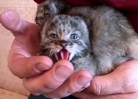 что случилось в улан удэ сегодня. Смотреть фото что случилось в улан удэ сегодня. Смотреть картинку что случилось в улан удэ сегодня. Картинка про что случилось в улан удэ сегодня. Фото что случилось в улан удэ сегодня