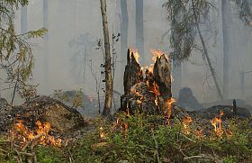Что горит в бурятии сейчас. Смотреть фото Что горит в бурятии сейчас. Смотреть картинку Что горит в бурятии сейчас. Картинка про Что горит в бурятии сейчас. Фото Что горит в бурятии сейчас
