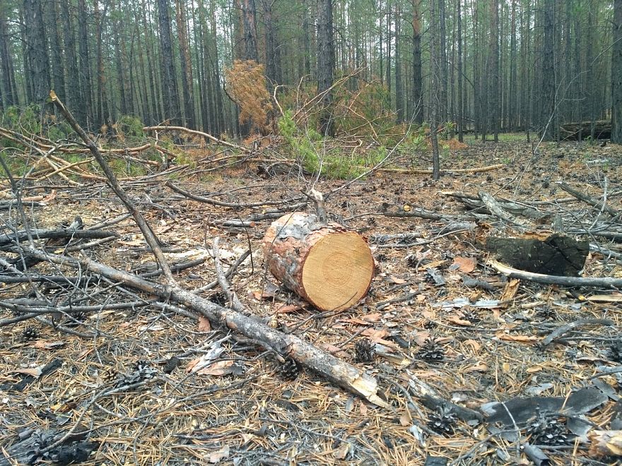 бичурский хлебороб газета последний номер. Смотреть фото бичурский хлебороб газета последний номер. Смотреть картинку бичурский хлебороб газета последний номер. Картинка про бичурский хлебороб газета последний номер. Фото бичурский хлебороб газета последний номер бичурский хлебороб газета последний номер. Смотреть фото бичурский хлебороб газета последний номер. Смотреть картинку бичурский хлебороб газета последний номер. Картинка про бичурский хлебороб газета последний номер. Фото бичурский хлебороб газета последний номер